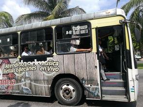 娱乐吃瓜酱公交车,揭秘明星幕后趣事